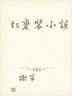 ts变装小说