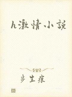 h激情小说封面