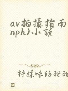 av拍摄指南(nph)小说