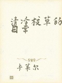 清冷校草的抹布日常