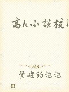 高h小说校园封面