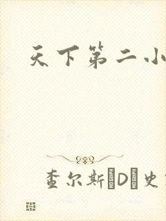 天下第二小说封面