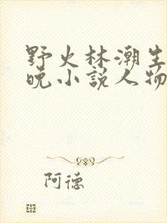 野火林潮生林晚晚小说人物野火