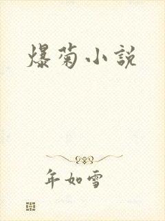 爆菊小说