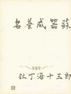 名养成器苏沫沫