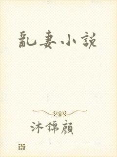 乱妻小说