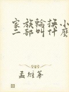 家族轮换小说第二部叫什么名字封面
