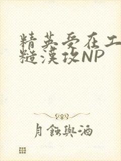 精英受在工地被糙汉攻NP