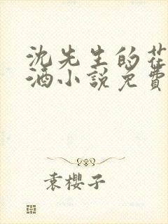 沈先生的花式调酒小说免费阅读