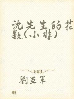 沈先生的花式调数(小非)