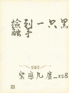 捡到一只黑心小触手