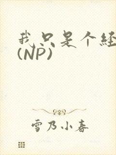 我只是个经纪人(NP)封面