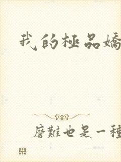 我的极品娇妻