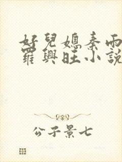 好儿媳秦雨罗明罗兴旺小说