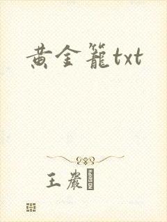 黄金笼txt