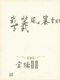 武装风暴txt下载封面