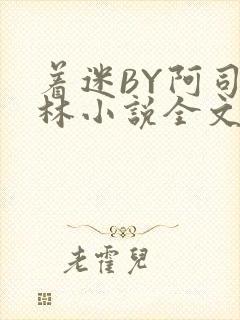 着迷BY阿司匹林小说全文免费阅读