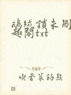 鹅绒锁未删除笔趣阁txt封面