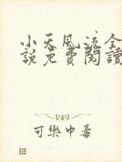 小天风流全集小说免费阅读