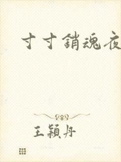 寸寸销魂夜春光