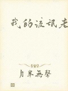 我的流氓老师封面