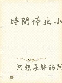 时间停止小说