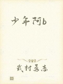 少年阿b