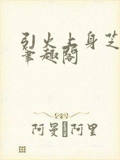 引火上身芝麻糖笔趣阁