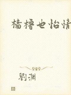 樯橹也怡情封面