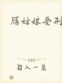 雁姑娘受刑记封面