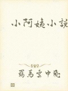 小阿姨小说