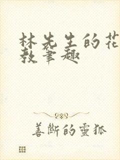 林先生的花式管教笔趣