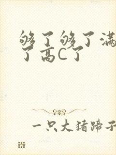 够了够了满到C了高C了