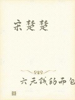 宋楚楚