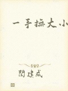 一手抚大小说
