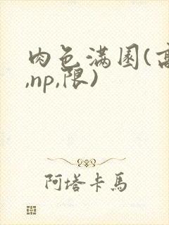 肉色满园(高h,np,限)