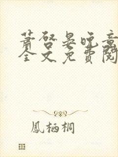 萧启晏晚意小说全文免费阅读封面