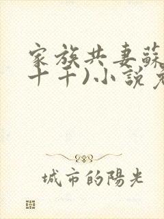 家族共妻苏苏(十千)小说免费