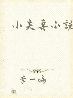 小夫妻小说封面