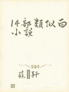14部类似白洁小说封面