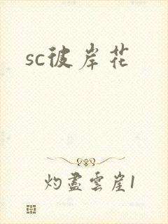 sc彼岸花