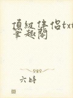 顶级伴侣txt笔趣阁