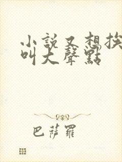 小说又想挨C了叫大声点