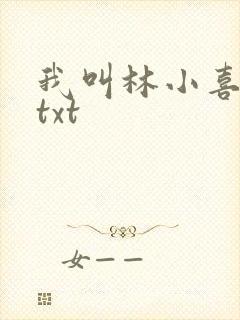 我叫林小喜小说txt