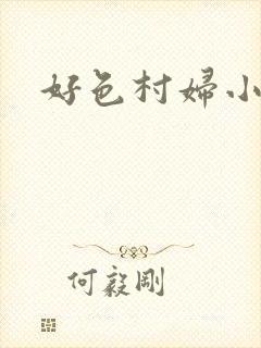 好色村妇小银贼封面