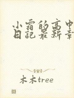 小霜的高中成长日记最新章节