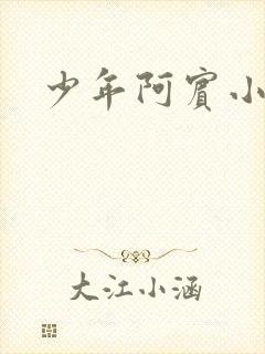 少年阿宾小说封面