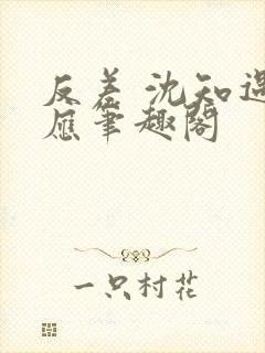 反差 沈知遇晏应笔趣阁