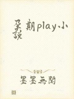 孕期play小说封面