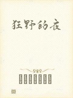 狂野的夜